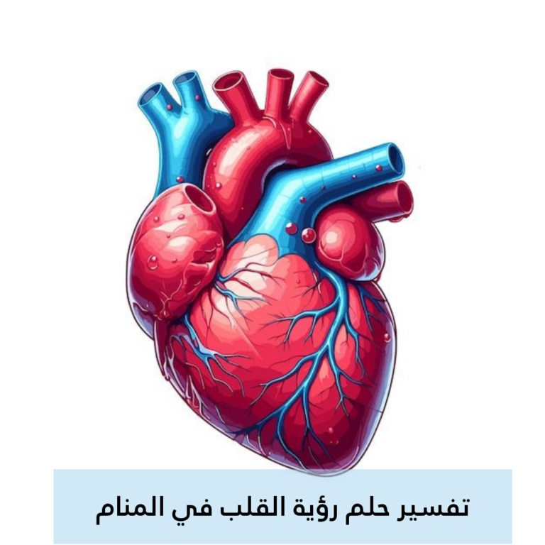تفسير حلم رؤية القلب في المنام .. تغييرات وإرتكاب معاصي