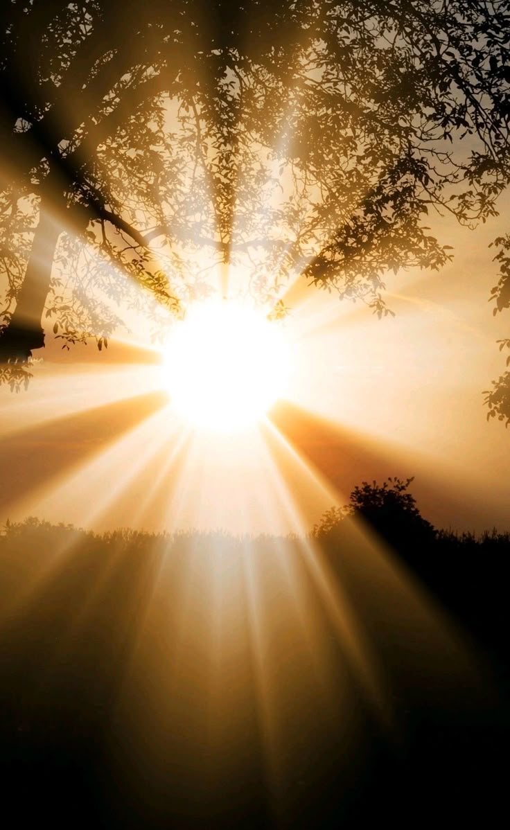 تفسير رؤية الشمس في المنام