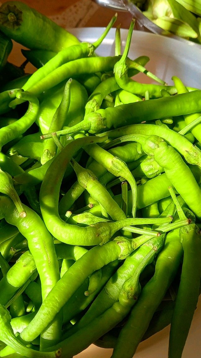 تفسير رؤية الفليفلة في المنام