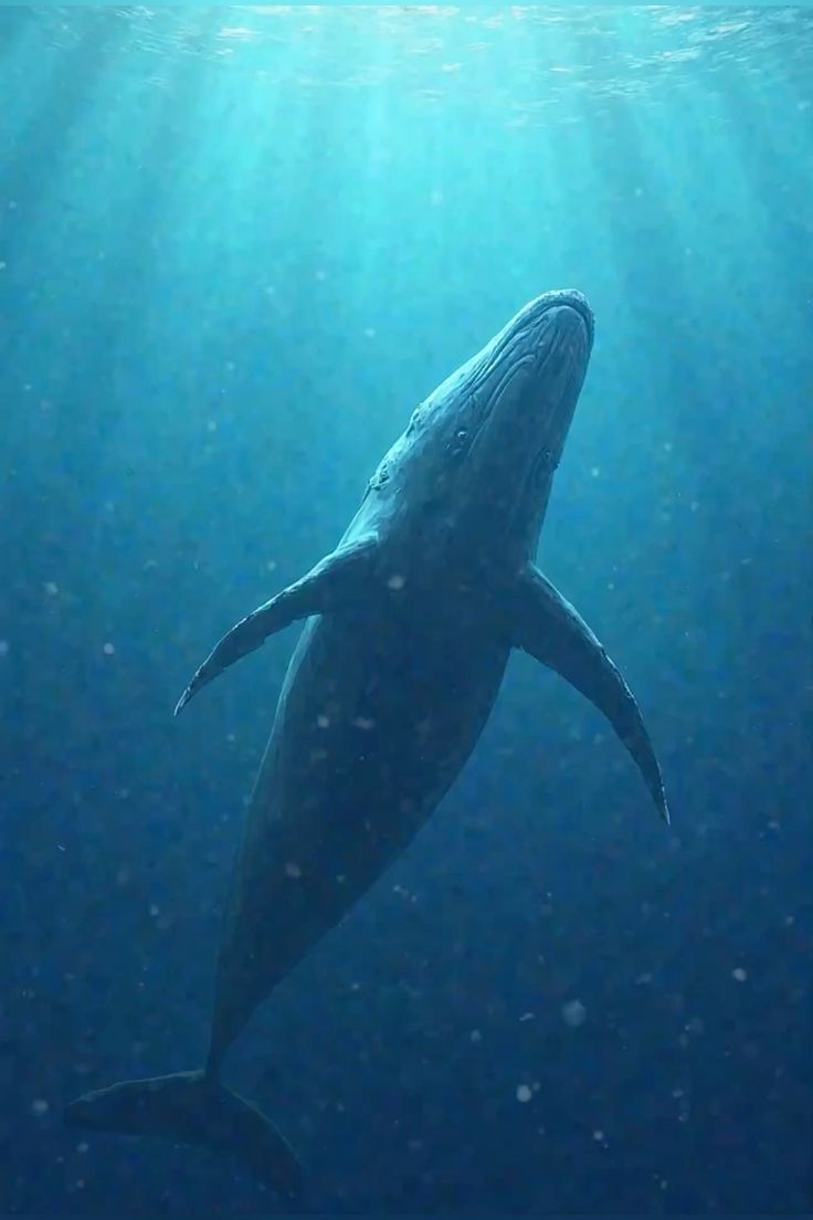 تفسير رؤية حلم الحوت في المنام