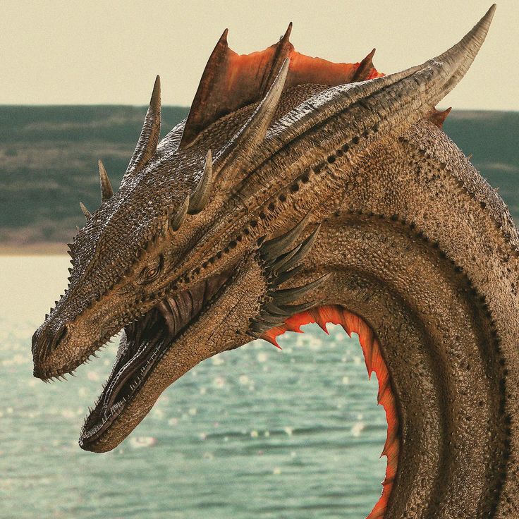 تفسير رؤية التنين في الحلم