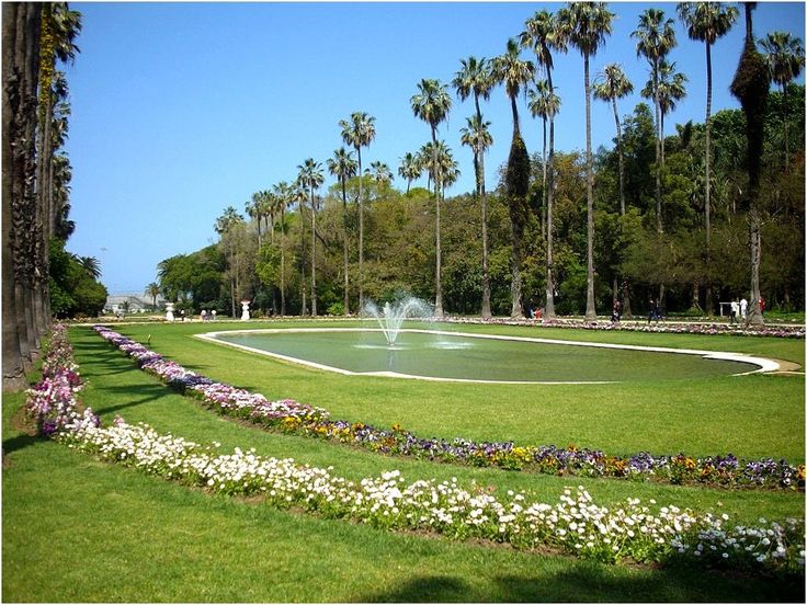 تفسير رؤية الحديقة في المنام