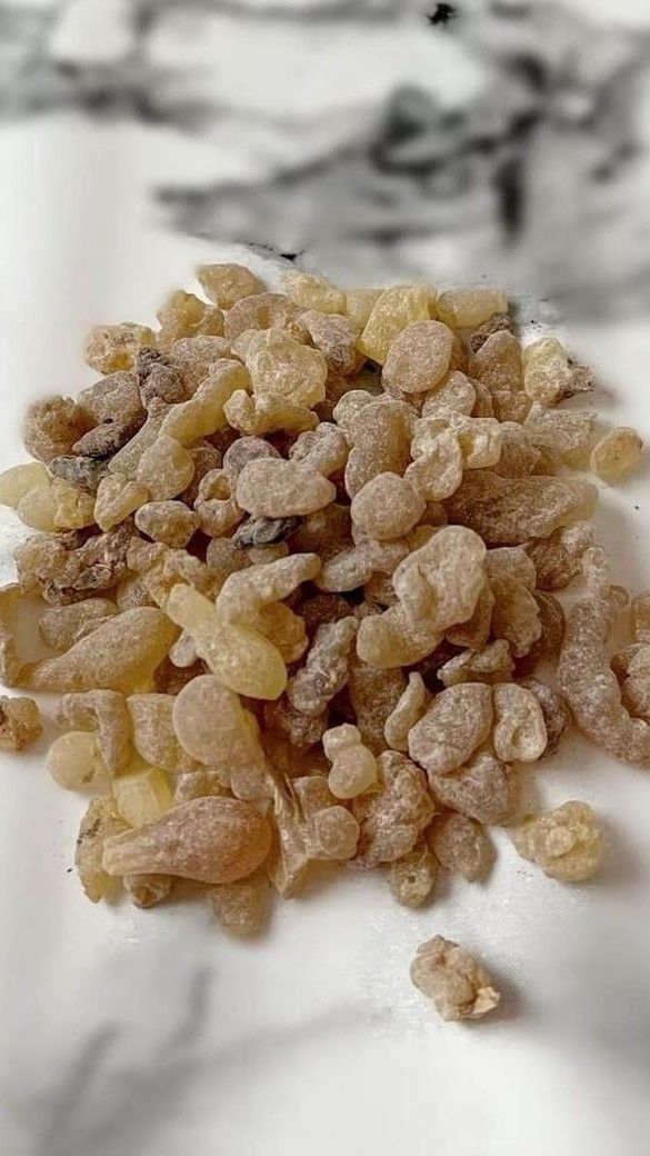 تفسير حلم اللبان الذكر في المنام