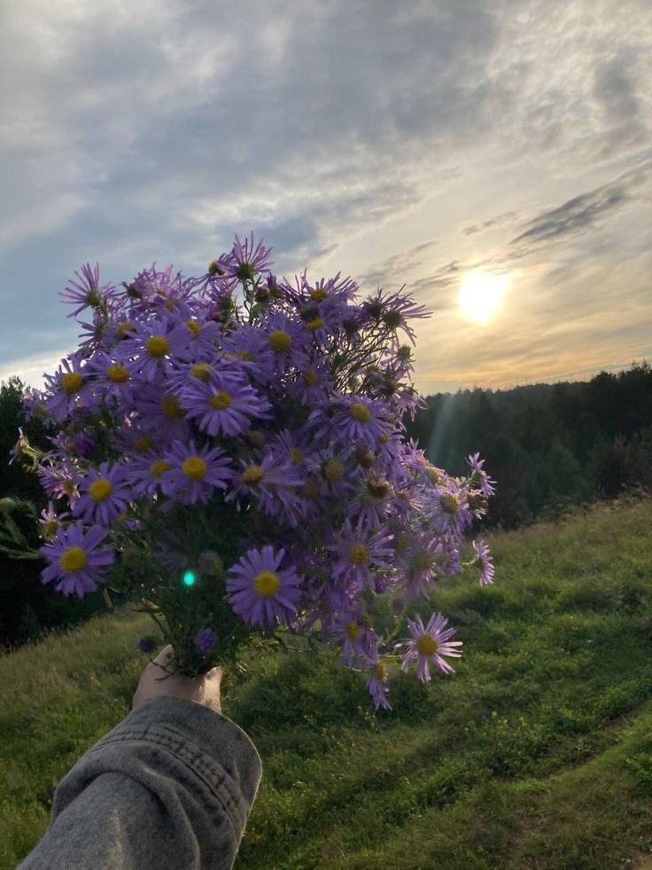 تفسير رؤية الورود في المنام