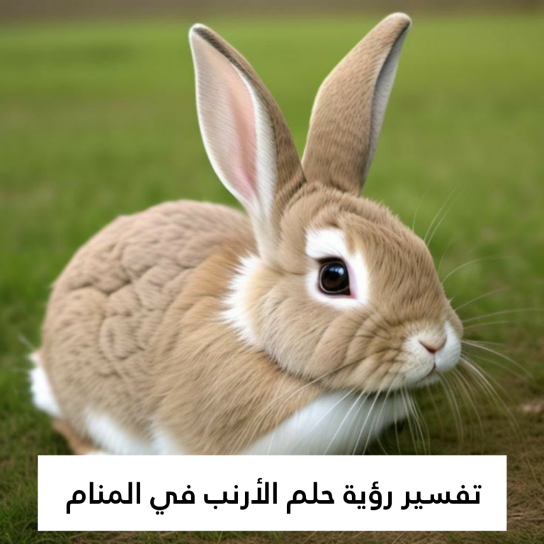 تفسير رؤية حلم الأرنب في المنام .. 15 رمز للعزباء وللمتزوجة وللحامل وللرجل