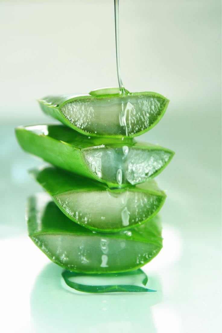 تفسير حلم الصبار في المنام