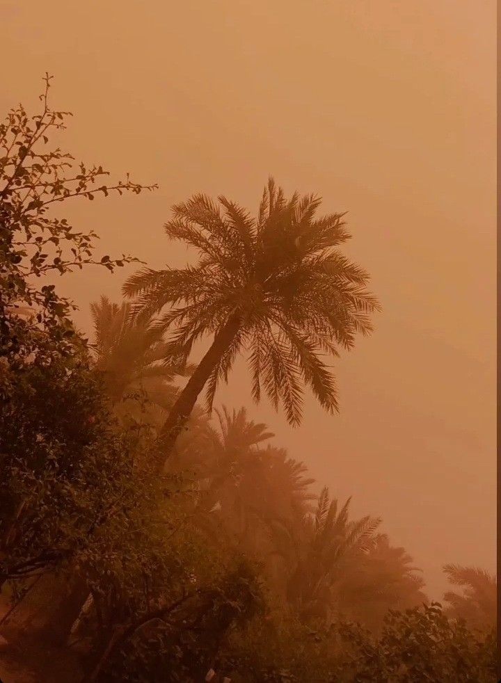 تفسير رؤية الغبار في المنام