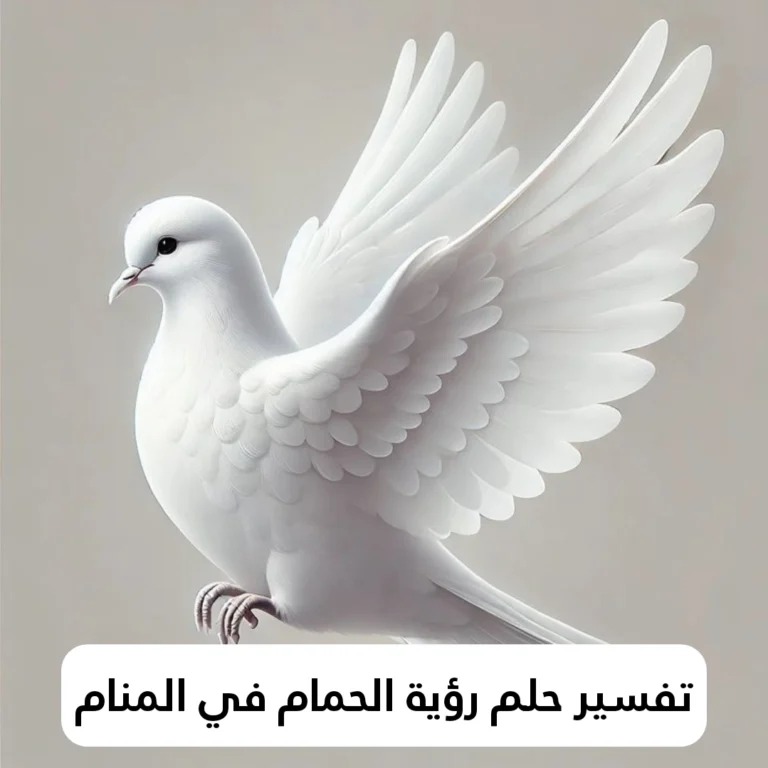تفسير حلم رؤية الحمام في المنام