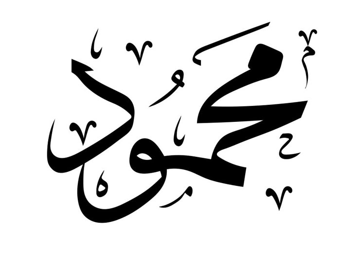 تفسير اسم محمود في المنام