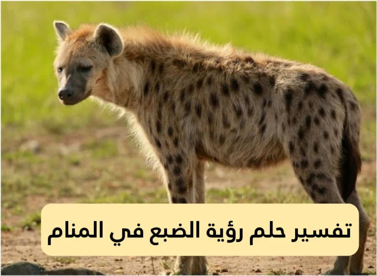 تفسير حلم رؤية الضبع في المنام