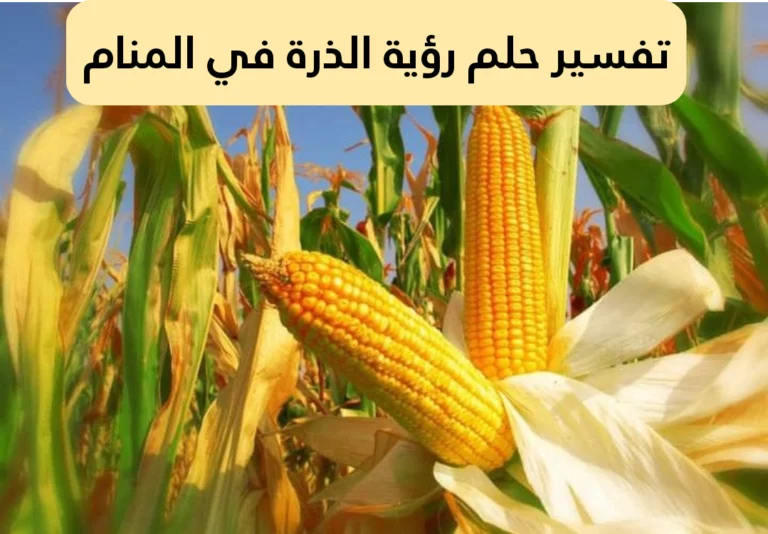 تفسير حلم رؤية الذرة في المنام