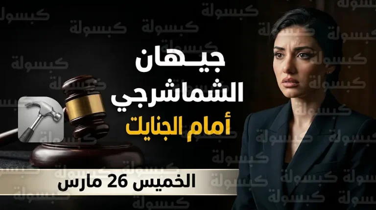 النيابة العامة تكشف تفاصيل اتهام جيهان الشماشرجي بالاستعانة بآخرين لسرقة شريكتها والاعتداء عليها بمطرقة