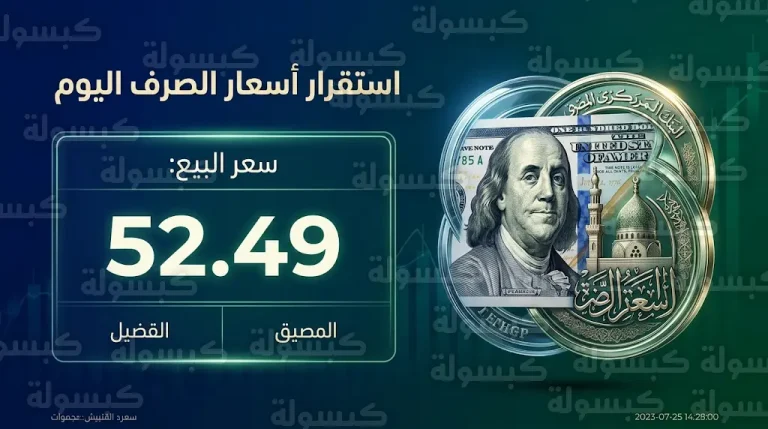 سعر الدولار اليوم في مصر الجمعة 13-3-2026 في البنك الأهلي وجميع البنوك