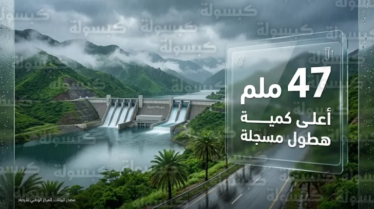ميسان تتصدر كميات الأمطار المسجلة في المملكة بـ 47 ملم ووزارة البيئة تعلن شمول الهطولات 5 مناطق رئيسية