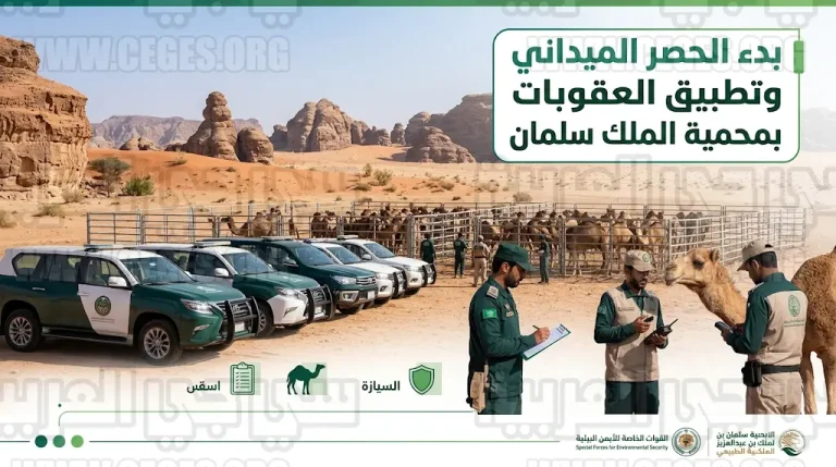 بعد انتهاء المهلة.. تحرك ميداني مكثف لإخراج الإبل السائبة من منطقة عرنان وتطبيق اللوائح بحق المخالفين