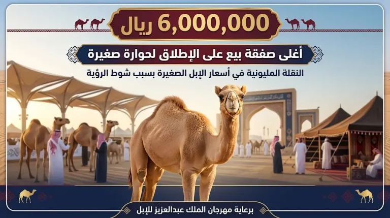 مهرجان الملك عبدالعزيز يدفع بأسعار الإبل الصغيرة إلى 6 ملايين ريال.. مالك مقر الجافل يكشف سر النقلة المليونية